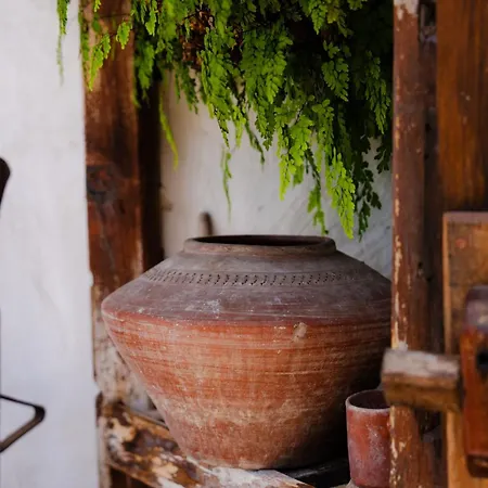 Country house Tajona & Granero
